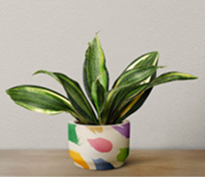 Gift-Items